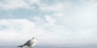 Jak uspokoić płaczące dziecko w przedszkolu?