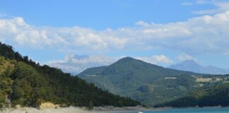 Po co jest retencja?