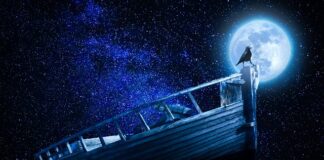 Czy podstawa programowa to to samo co program nauczania?