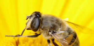 Na czym polega proces przystosowania się człowieka do pracy?