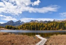 Jak załatwić staż absolwencki?