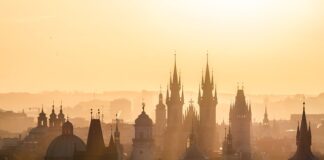 Jakie są cele zarządzania ryzykiem?