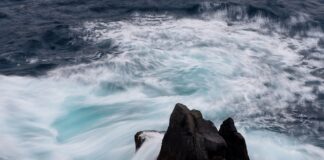 Z czego wynika cena akcji?