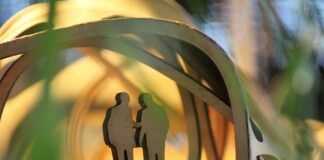 Co jest jednym z ważniejszych problemów adaptacyjnych?