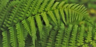 Jak dobrze wdrożyć pracownika?