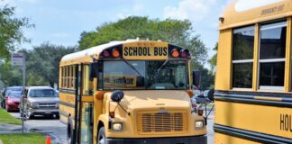 Za co można zwolnić praktykanta?