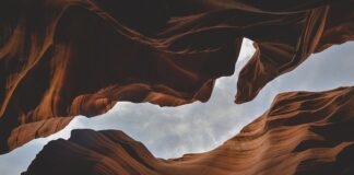 Jakie są formy prowadzenia zajęć?