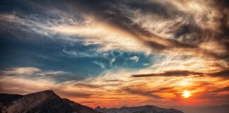 Ile trzeba mieć godzin praktyk na studiach?