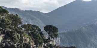 Ile kosztuje pracownik z agencji pracy?