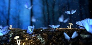 Jakie są struktury?