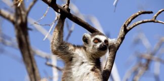 Co obejmuje zachowanie ryzyka?