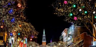 W jakim okresie najlepiej szukać pracy?