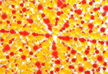 Co to jest krzyżowanie losowe?