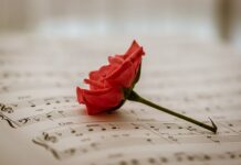 Czy bezpłatne praktyki są legalne?