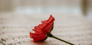 Czy bezpłatne praktyki są legalne?