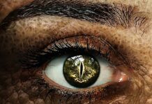 Ile cech płaci za ucznia?