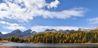 Ile wynosi staż 2023 na rękę?