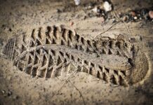 Kto dokonuje oceny ryzyka?