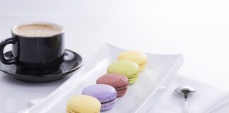 Co to są cechy adaptacyjne?