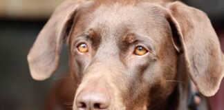 Jakich cech szukają pracodawcy?