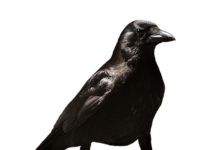 Czy zwolnienie lekarskie zwalnia z praktyk?