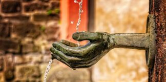 Jakie funkcje rachunkowości są wspierane przez systemy informatyczne?