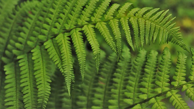 Jak wdrożyć nowego pracownika? Jak wdrożyć nowego pracownika?