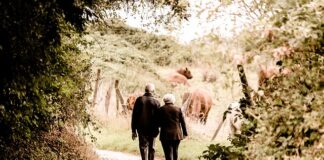 Ile wynosi emerytura bez lat pracy?