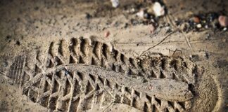 Kto tworzy ocenę ryzyka?