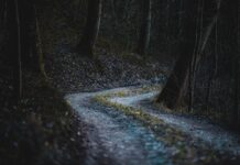 Co jest cechą ryzyka?