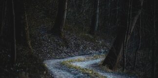 Co jest cechą ryzyka?