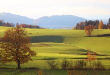 Czy wynagrodzenie zasadnicze to to samo co brutto?