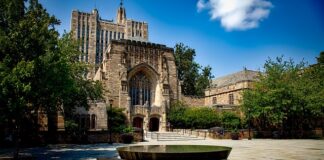 Co jest lepsze Yale czy Harvard?