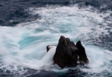 Co to jest ceną ryczałtową?