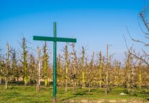 Kiedy nie trzeba regulaminu wynagradzania?