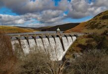 Ile kosztuje godzina z coachem?