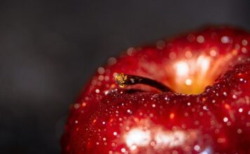 Co to jest Benefit Systems?