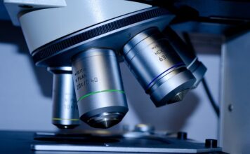 Na jakie studia mogę iść po licencjacie?