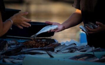 Gdzie sprzedawać swoje kursy online?